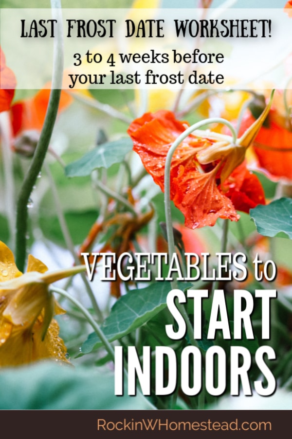 Which vegetables should be planted indoors 3 to 4 weeks before your last frost date? The warm weather crops are coming into view and will be ready for transitioning your garden for the hot weather ahead.  