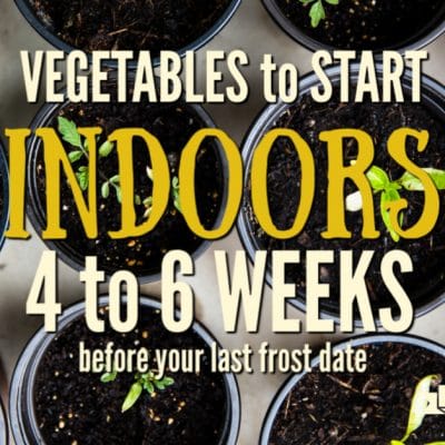 There are many joys and benefits to be gained by starting your own garden indoor from seed. The toughest part is knowing what to plant at specific times so the seedlings are not held too long indoors. Learn what to plant indoors 4 to 6 weeks before last frost date