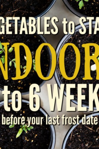 There are many joys and benefits to be gained by starting your own garden indoor from seed. The toughest part is knowing what to plant at specific times so the seedlings are not held too long indoors. Learn what to plant indoors 4 to 6 weeks before last frost date