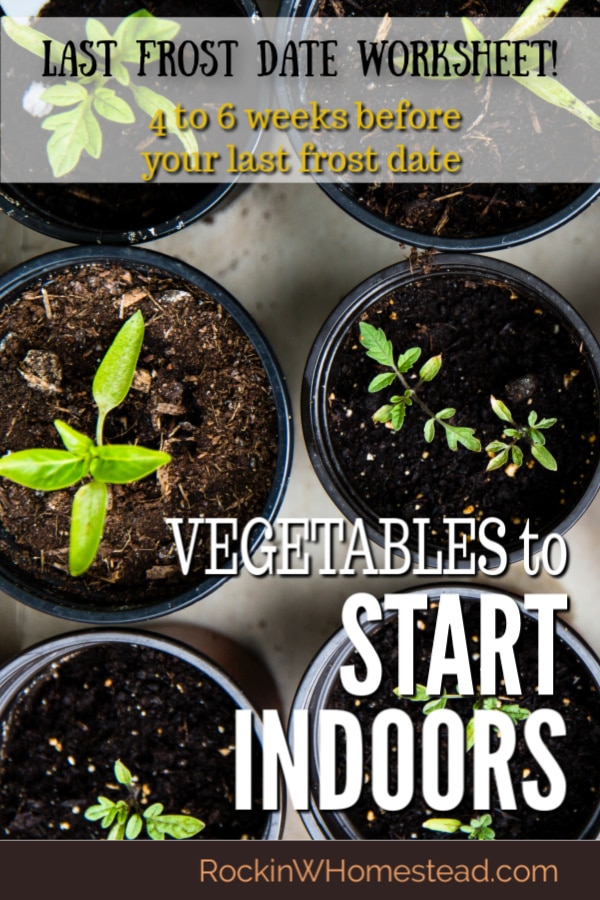 Seeds to Plant 4 to 6 Weeks Before Last Frost Rockin W Homestead