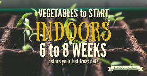 Get ready for the gardening season and use this guide to know what to plant indoors 6 to 8 weeks before last frost date. Take the guesswork out of your planting schedule!