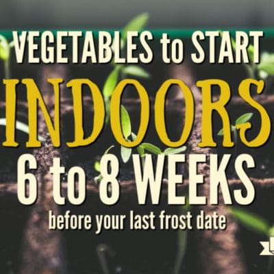 What to Plant Indoors 6 to 8 Weeks Before Your Last Frost Date