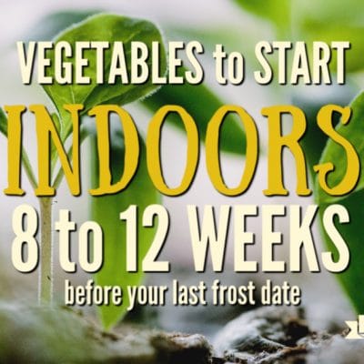 Vegetables to start indoors 8 to 12 weeks vefore last frost date. Avid gardeners can't wait to get their gardens started each spring. Because weather is still inconsistent in early spring, how do you what to plant before your last frost date and in what order?