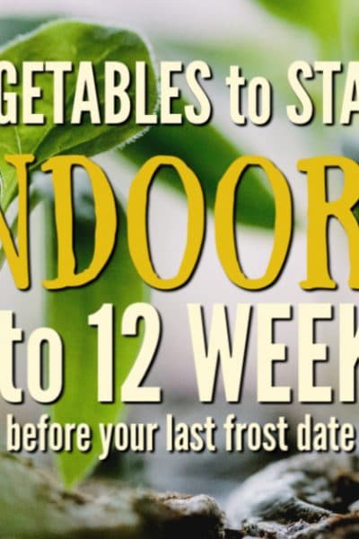Vegetables to start indoors 8 to 12 weeks vefore last frost date. Avid gardeners can't wait to get their gardens started each spring. Because weather is still inconsistent in early spring, how do you what to plant before your last frost date and in what order?
