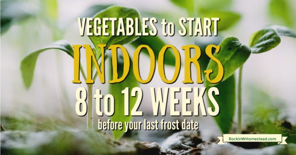 Vegetables to Start Indoors 8 to 12 Weeks Before Your Last Frost Date