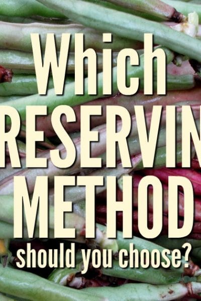 With just a bit of preplanning and our handout, you can decide what preservation methods to use for 50 different fruit and vegetable varieties.