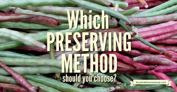 With just a bit of preplanning and our handout, you can decide what preservation methods to use for 50 different fruit and vegetable varieties.