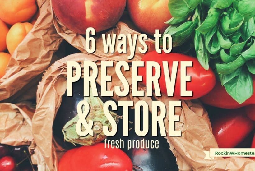 You can begin to preserve and store produce using one of these six time-tested methods. Our ancestors knew how to preserve food and never wasted anything. You can learn too.