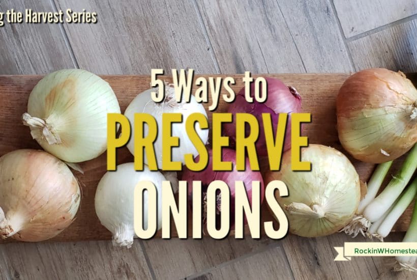 5 Ways to preserve onions for pantry storage. Details on how to freeze onions, dehydrate onions, and turn onions into onion powder. 