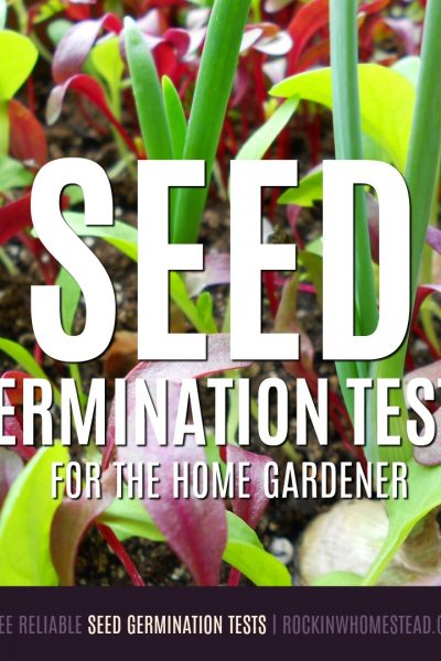How can you tell if a seed is still viable? Here are three reliable seed germination tests you can take to see if there is life left in your old seed packets | Rockin W Homestead