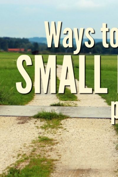 Many people with a pioneering spirit are looking for ways to live on their land and make their small farm profitable. You can make money on your homestead, but you have to be willing to work. | Rockin W Homestead