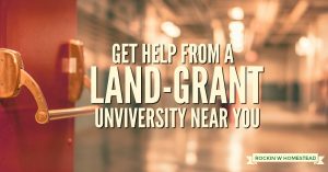 Homesteaders naturally have a long list of things that can be learned to improve their self-reliance, the state land-grant university can help | Rockin W Homestead