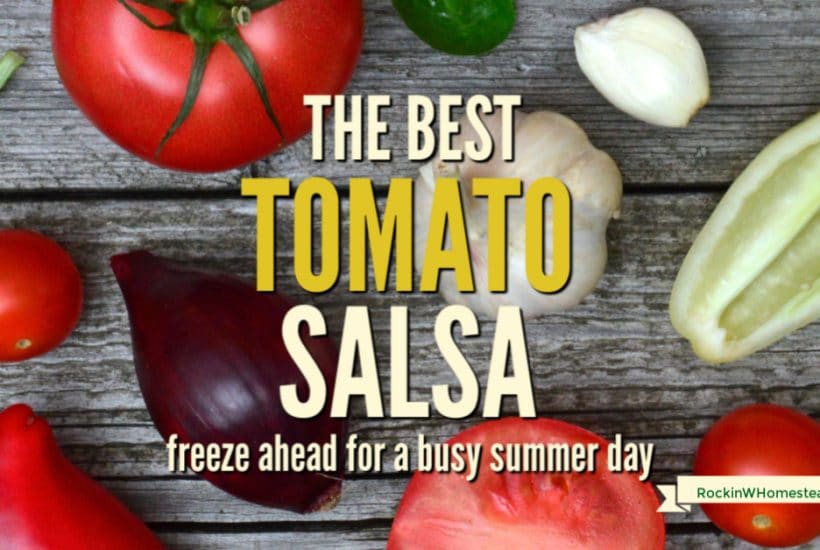 this great recipe is also open to interpretation, because the best tomato salsa recipe is one that you create yourself. 