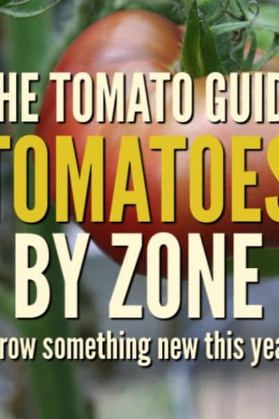 Use the tomato guide to find terrific varieties to fit your specific garden zone. Everyone can grow tomatoes.