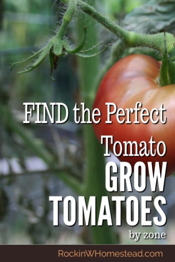 The Tomato Guide Find a Tomato for Your Garden Zone Rockin W Homestead