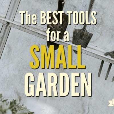 The Best Tools for Small Gardens