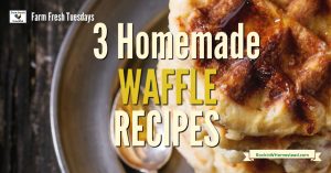 3 Homemade Waffle Recipes for Everyday Eats