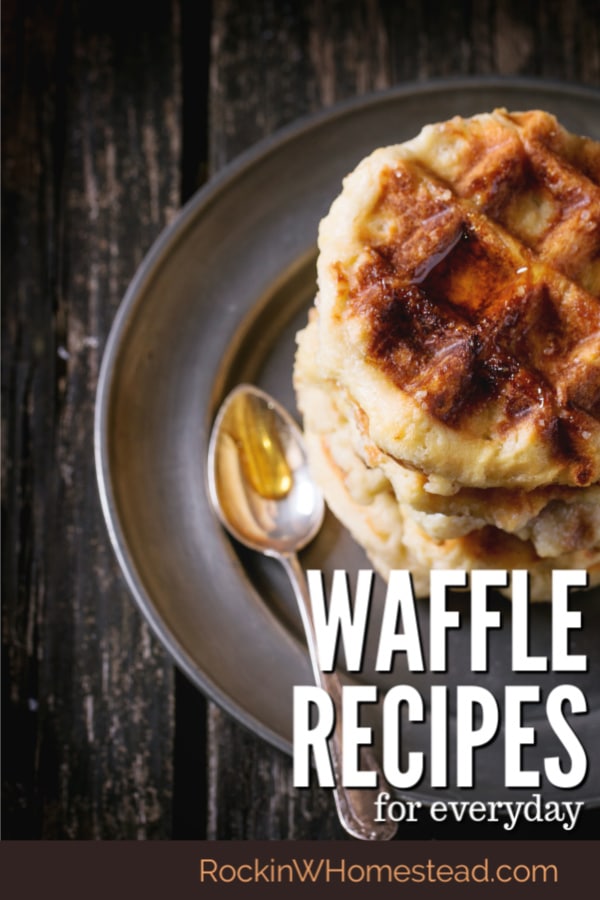We often think of waffles as a wonderful weekend treat, but if you make these waffle recipes ahead of time, you'll even get to enjoy them on weekdays. These 3 homemade waffle recipes freeze well. Be sure to give them a try.