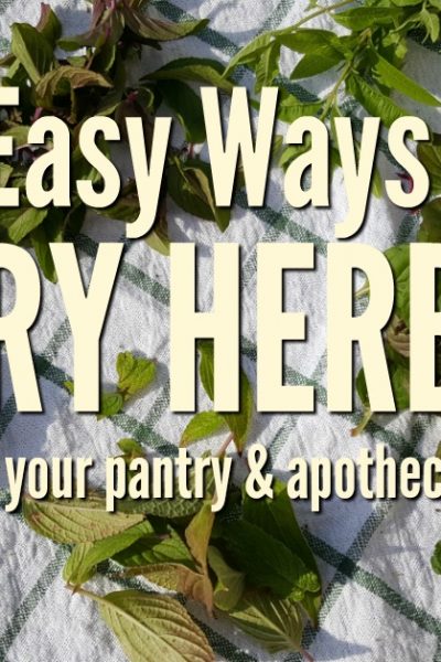 Herbs are garden favorites and are used for many culinary and medicinal purposes. When you have a stock of your own dried herbs on hand cooking, and herbal preparations become easier. These three easy ways to dry herbs will get you started on preserving your herb harvest | Rockin W Homestead